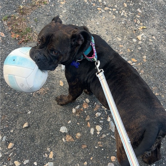 Meet your Posher, Grayson - Picture 2 of 2